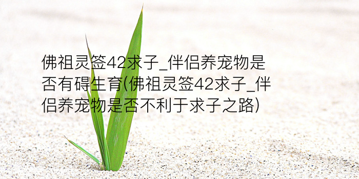 抽签观音签20游戏截图