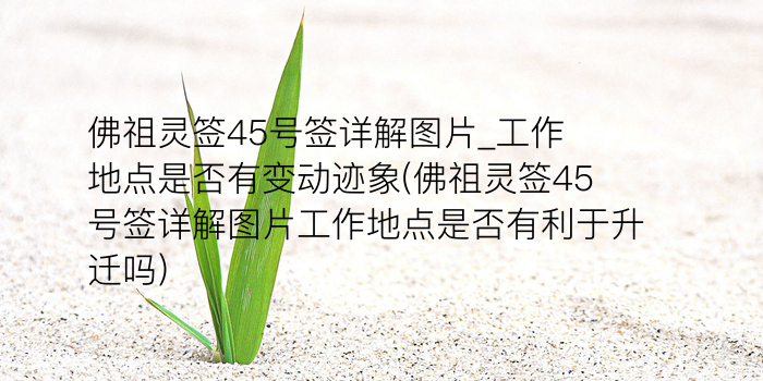 黄大仙第二十签游戏截图