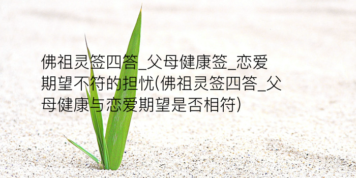 八仙庵吕祖灵签游戏截图