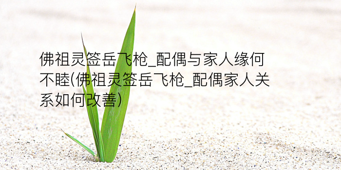 佛祖灵签罚签游戏截图