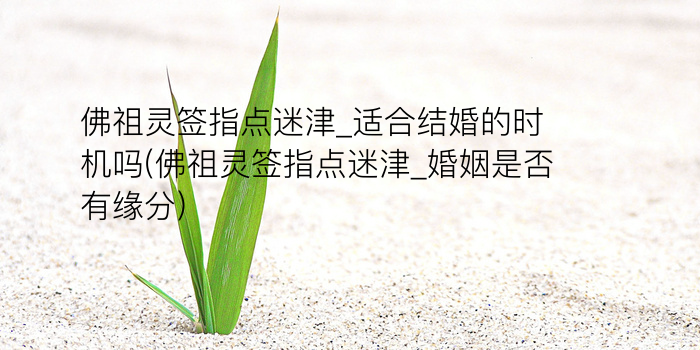 吕祖灵签三十游戏截图