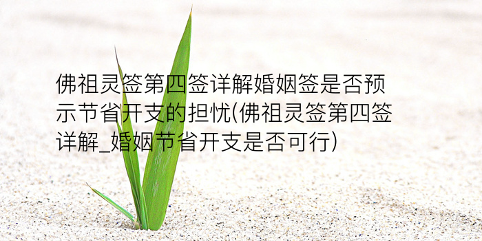 吕祖二十三号灵签游戏截图