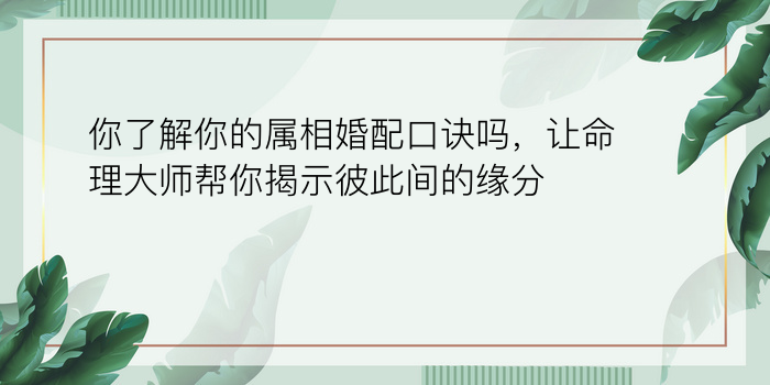 你了解你的属相婚配口诀吗，让命理大师帮你揭示彼此间的缘分