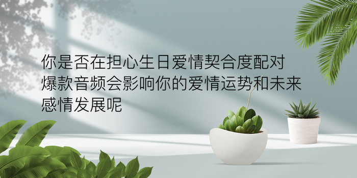 车牌号码测吉凶哪个好游戏截图