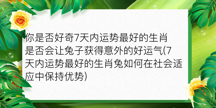 本命年送妈妈游戏截图