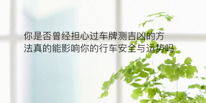 车牌号字母吉凶游戏截图