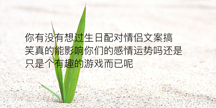 老鼠生肖配对游戏截图