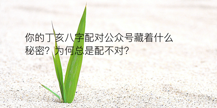 你的丁亥八字配对公众号藏着什么秘密？为何总是配不对？