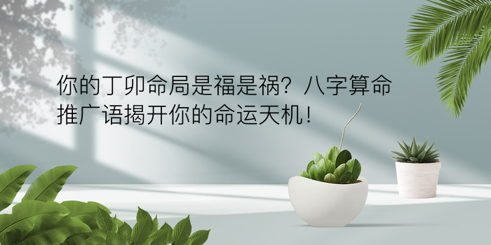 你的丁卯命局是福是祸？八字算命推广语揭开你的命运天机！