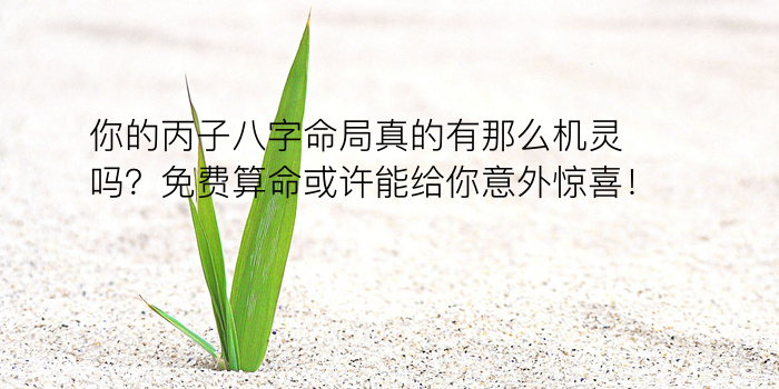 八字运程流年游戏截图