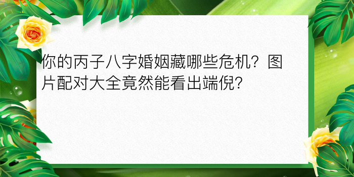 你的丙子八字婚姻藏哪些危机？图片配对大全竟然能看出端倪？