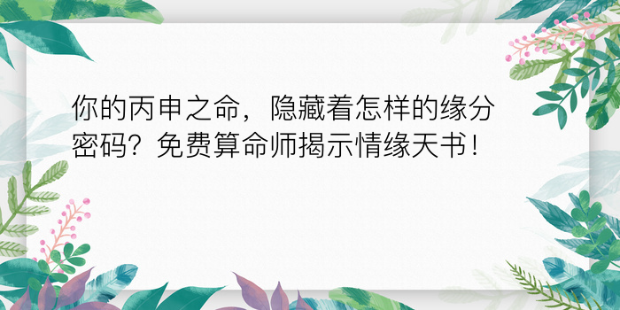 看运程八字算命免费游戏截图