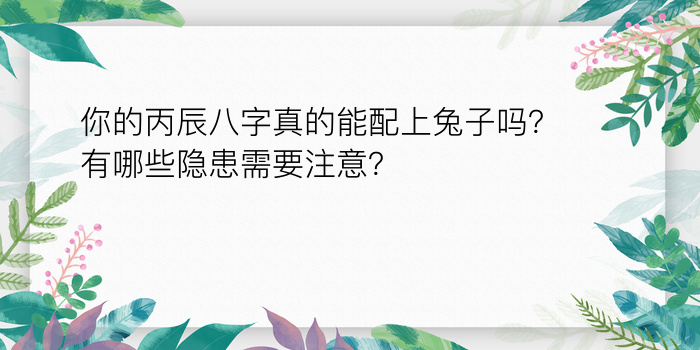 你的丙辰八字真的能配上兔子吗？有哪些隐患需要注意？