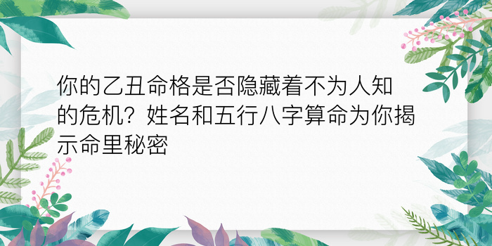 八字算命华盛游戏截图