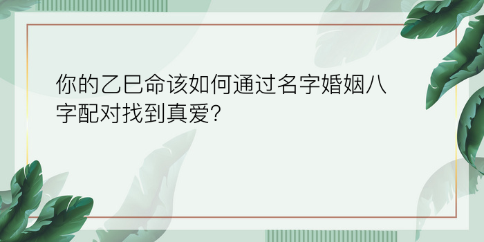 八字运程算命游戏截图