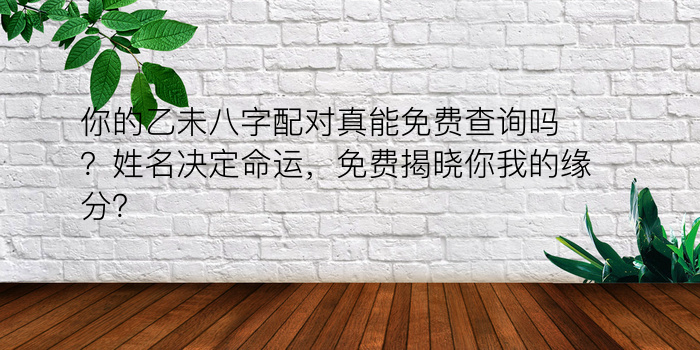 你的乙未八字配对真能免费查询吗？姓名决定命运，免费揭晓你我的缘分？