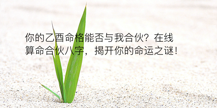 2015运程八字游戏截图