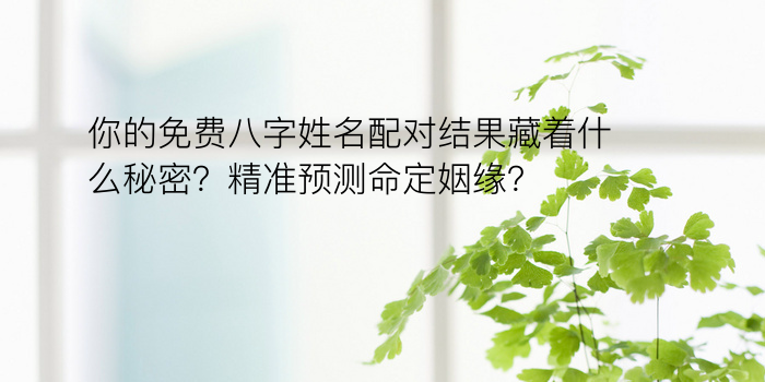 你的免费八字姓名配对结果藏着什么秘密？精准预测命定姻缘？