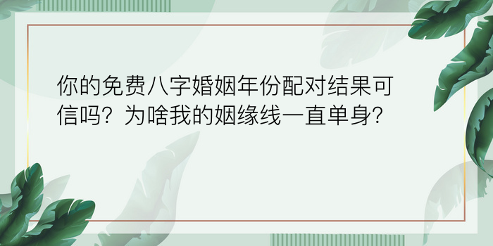 29岁属相婚配游戏截图