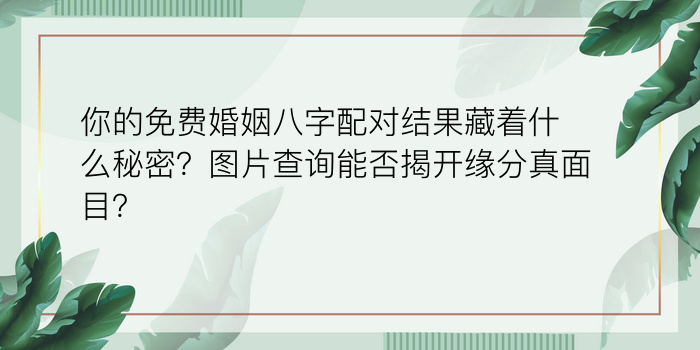 查询运程八字游戏截图