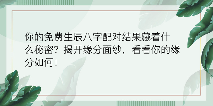 你的免费生辰八字配对结果藏着什么秘密？揭开缘分面纱，看看你的缘分如何！