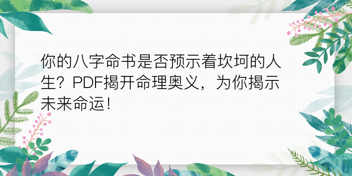 你的八字命书是否预示着坎坷的人生？PDF揭开命理奥义，为你揭示未来命运！