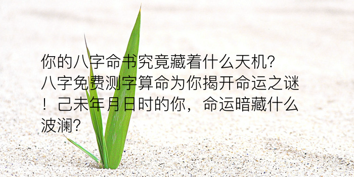 八字算命顺口溜全套游戏截图