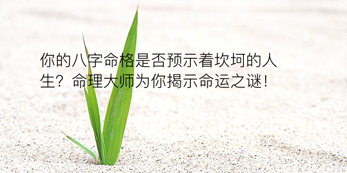 八字纳音五行游戏截图