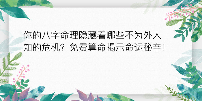 算命和八字算命游戏截图