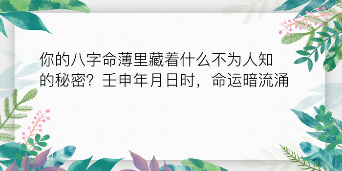 八字运程走势游戏截图