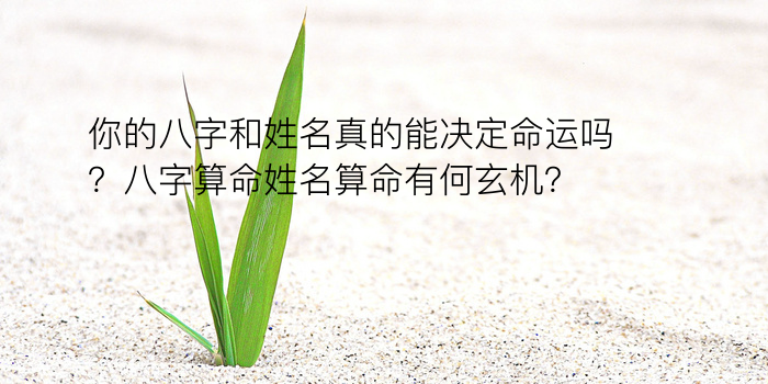 在线测八字算命免费游戏截图