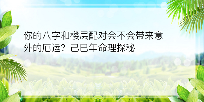 你的八字和楼层配对会不会带来意外的厄运？己巳年命理探秘