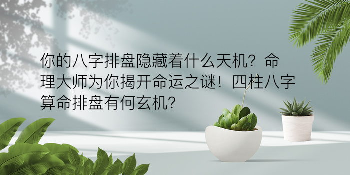 生肖八字命理运程游戏截图