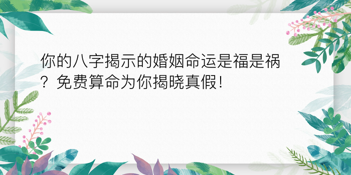 八字日柱辛金运程表游戏截图