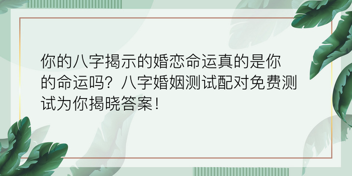 起名网生辰八字起名游戏截图