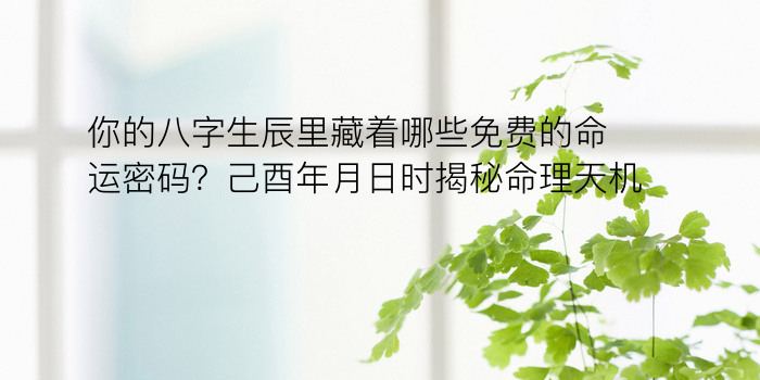 你的八字生辰里藏着哪些免费的命运密码？己酉年月日时揭秘命理天机！