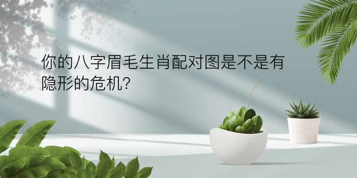 骨称算命游戏截图