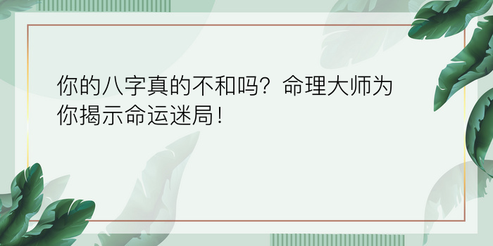 八字五行属性查询表游戏截图