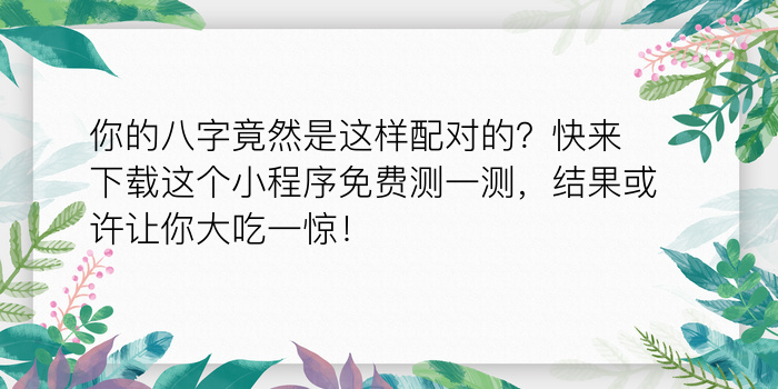 怎么查五行八字缺什么游戏截图