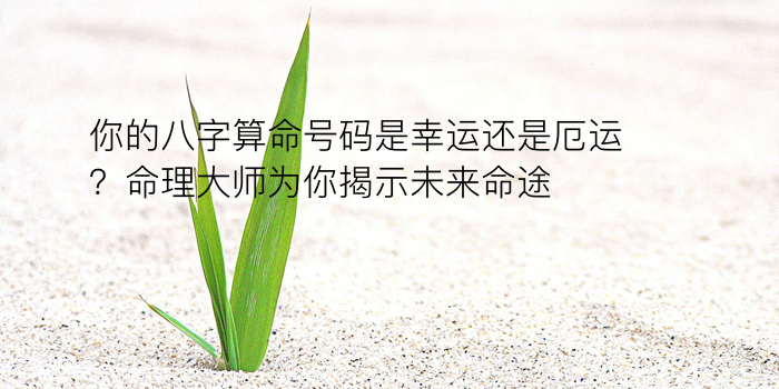 时辰八字起名字游戏截图