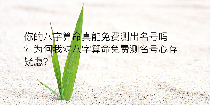 老黄历生辰八字起名游戏截图