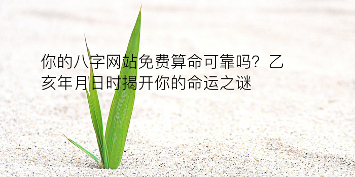 八卦算命生辰八字游戏截图