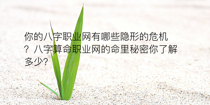 八字的五行游戏截图