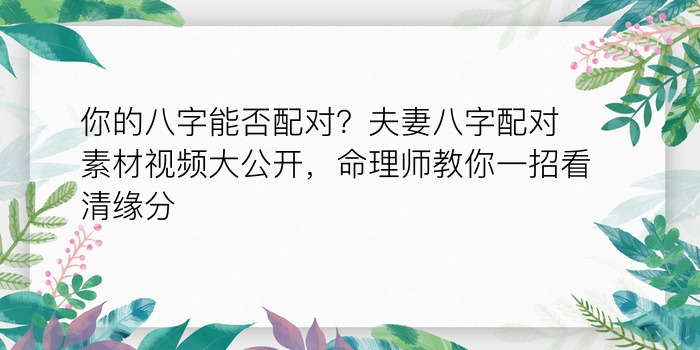 你的八字能否配对？夫妻八字配对素材视频大公开，命理师教你一招看清缘分