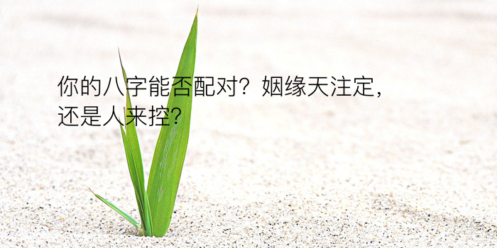 你的八字能否配对？姻缘天注定，还是人来控？