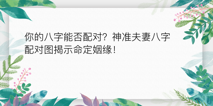 你的八字能否配对？神准夫妻八字配对图揭示命定姻缘！