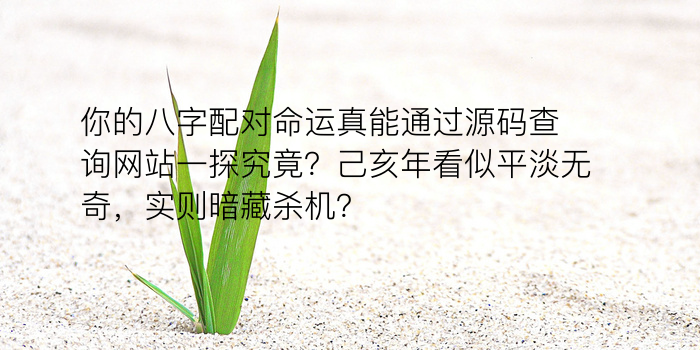 运程与八字游戏截图