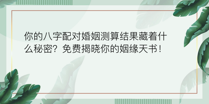 属马的最佳婚配属相游戏截图