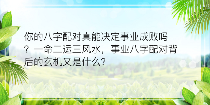 你的八字配对真能决定事业成败吗？一命二运三风水，事业八字配对背后的玄机又是什么？