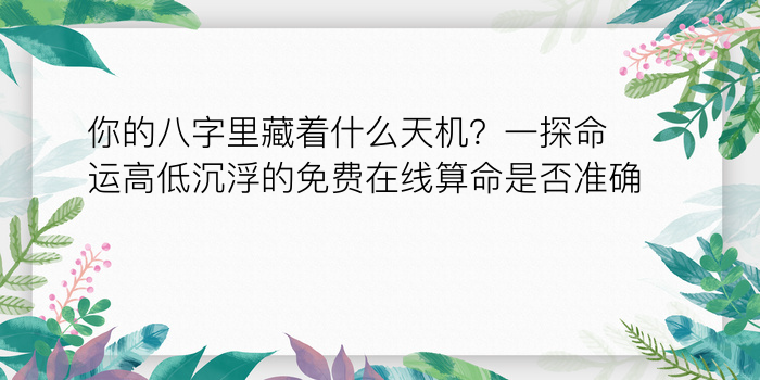 八字子女算命游戏截图